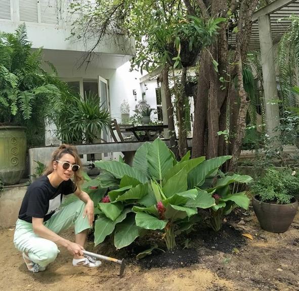 ปาล์มมี่