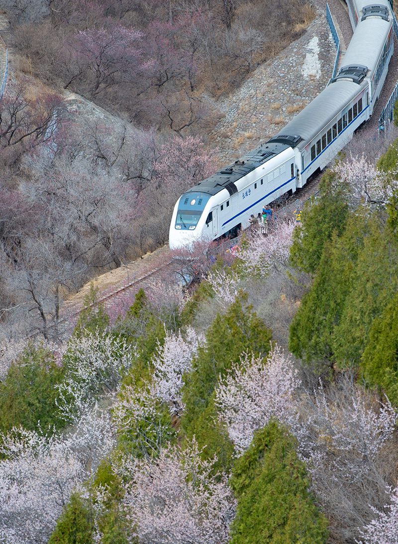 เที่ยวจีน