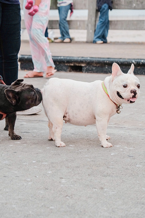 สถานตากอากาศบางปู