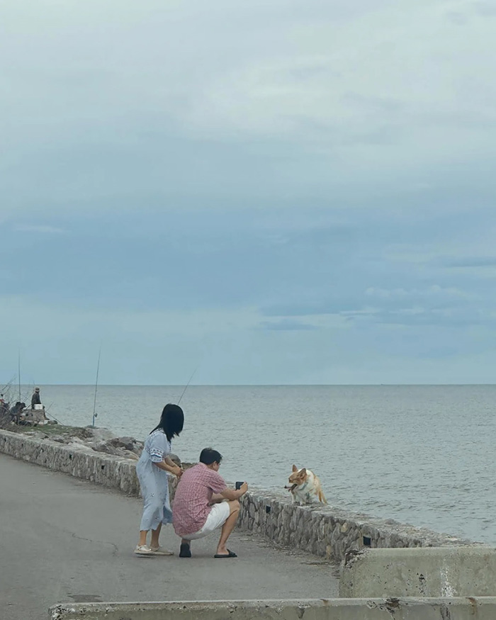 ใบเฟิร์น พิมพ์ชนก 