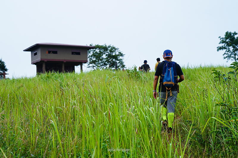 เขาใหญ่