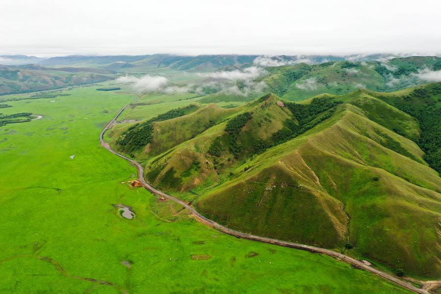 ทุ่งหญ้ามองโกเลีย