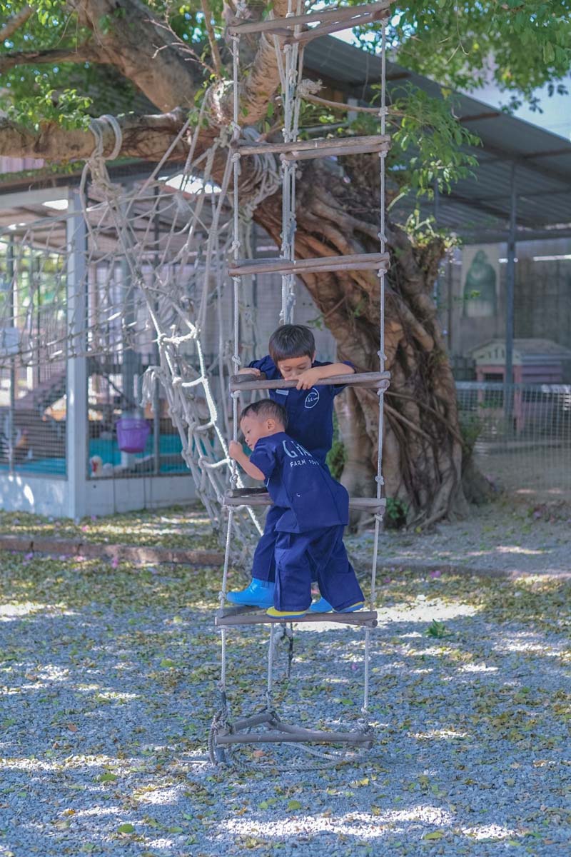 GFarm ฟาร์มและคาเฟ่เด็ก