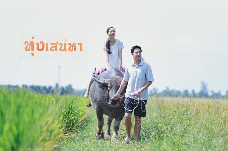 ทุ่งเสน่หา