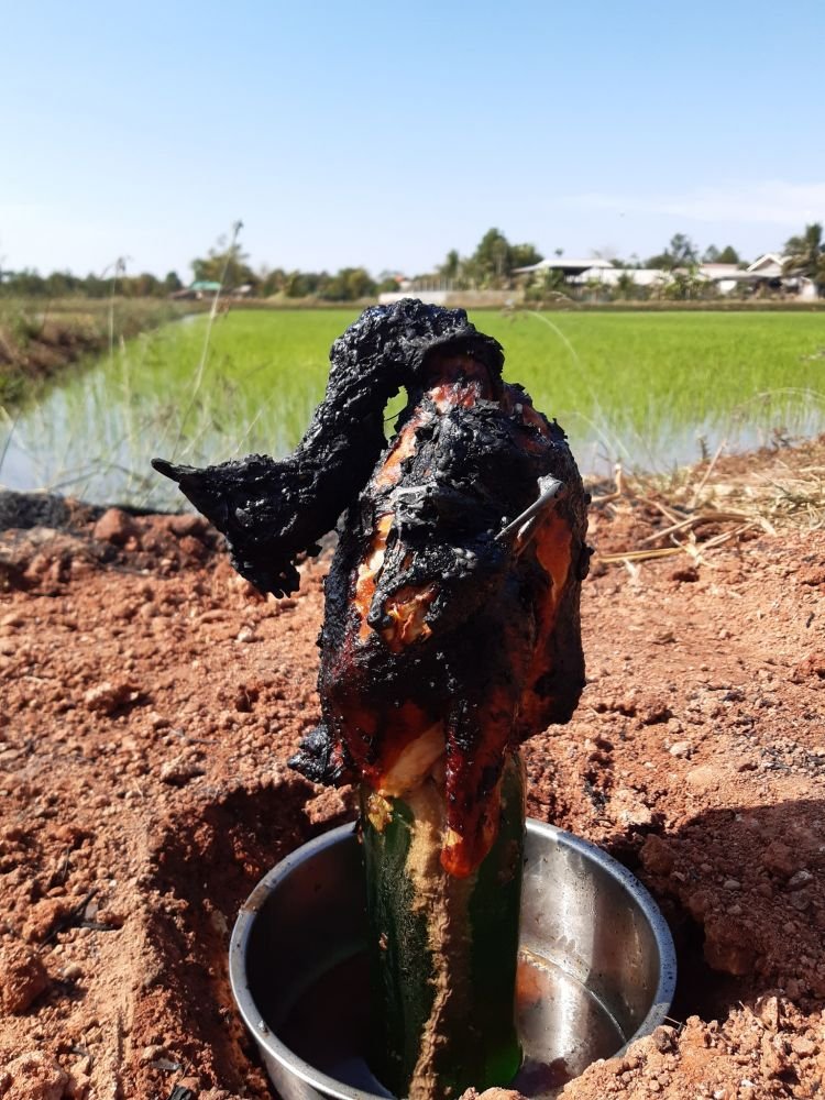 ไก่อบฟาง