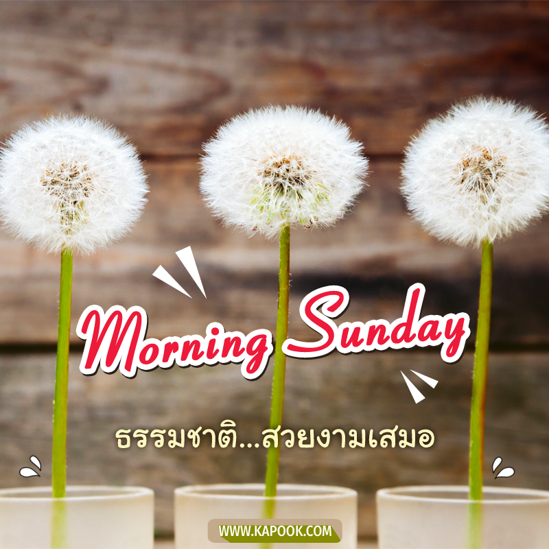 รูปสวัสดีวันอาทิตย์ ธรรมชาติ...สวยงามเสมอ
