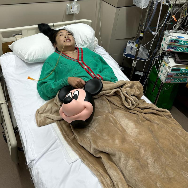 คุณหญิงแมงมุม