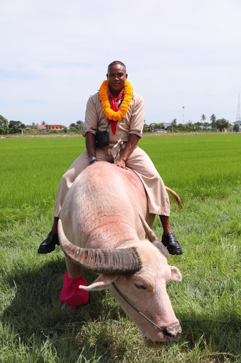 ผู้ใหญ่ลีศรีบานเย็น