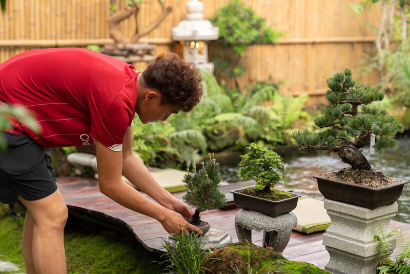 จัดสวนญี่ปุ่น