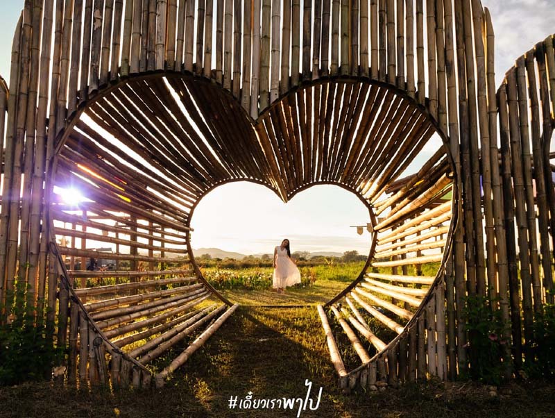 ป่าทำมา  