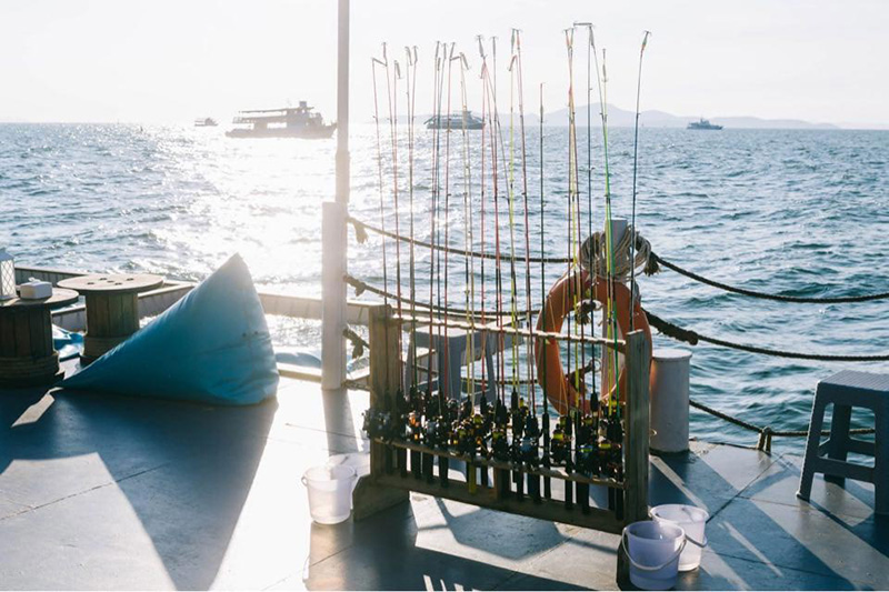 ตกปลาหมึกพัทยา