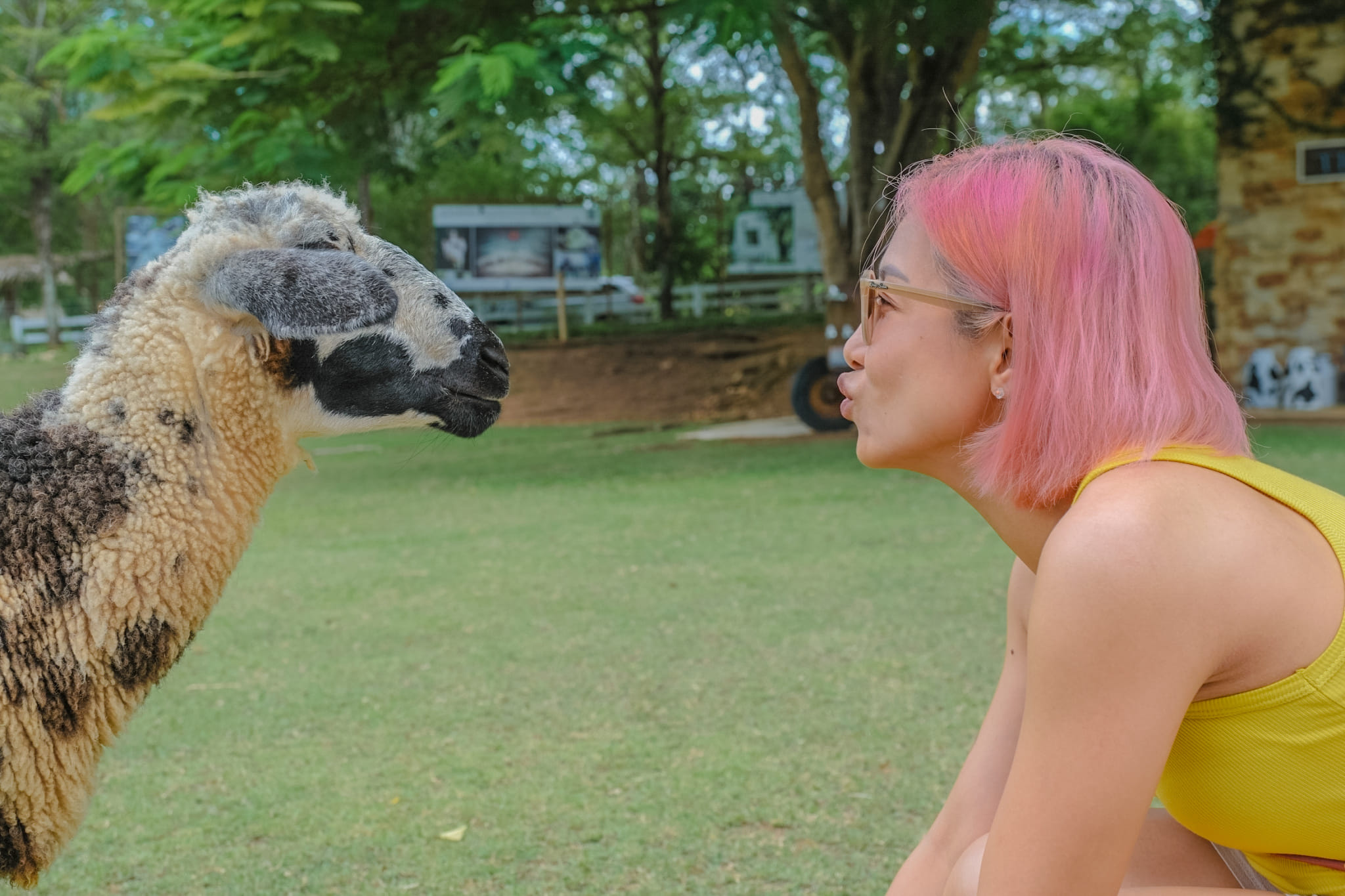 The Scenery Vintage Farm