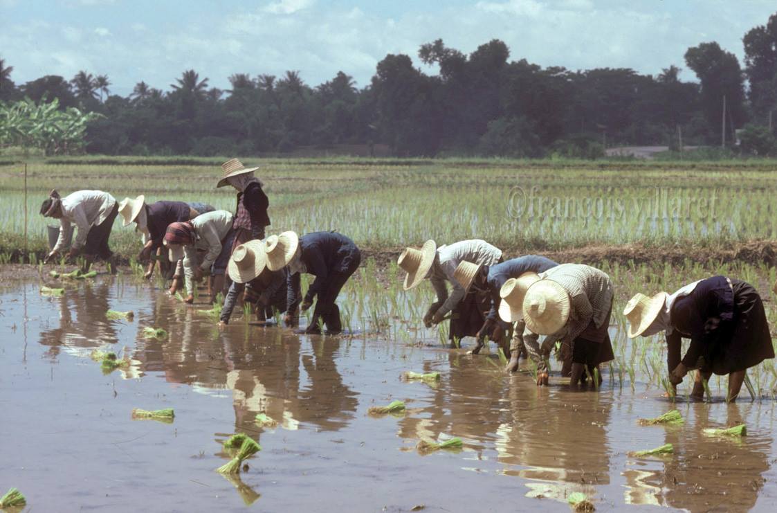 เมืองไทยในอดีต
