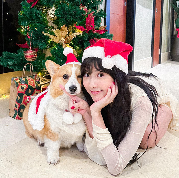  เบียร์ เดอะวอยซ์ 