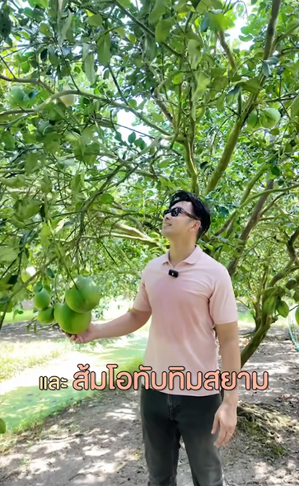 เจมส์ เรืองศักดิ์ ประกาศขายสวน