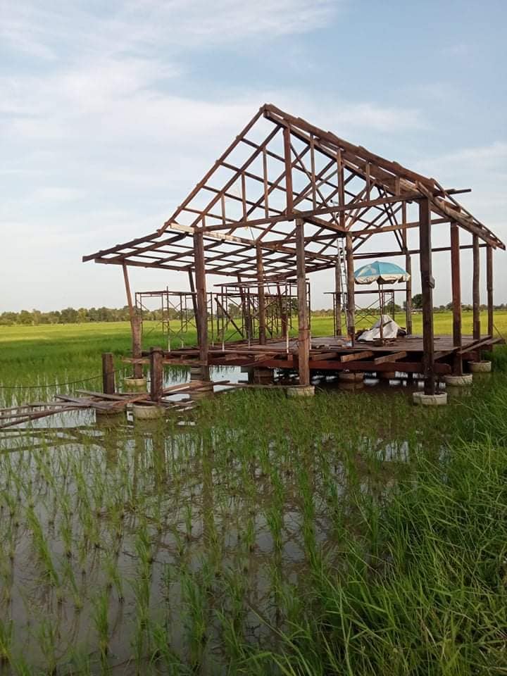 สร้างบ้านกลางทุ่งนา