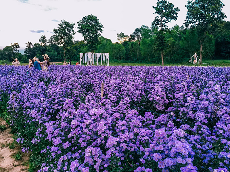 สวนดอกไม้ อุดรธานี