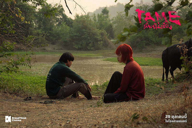 TAME เลี้ยงไม่เชื่อง หนังใหม่ 2026 หนังใหม่เดือนตุลาคม 2569 ดูหนัง