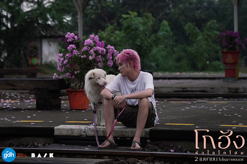 หนัง โกฮัง หัวใจโกโฮม หนังเกี่ยวกับสุนัข หนังใหม่ GDH 2569