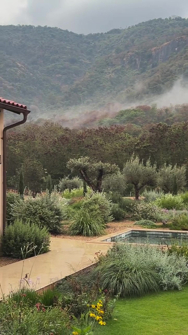 ญาญ่า อุรัสยา