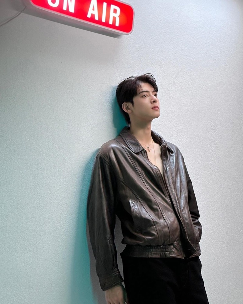 cha eun woo ชาอึนอู