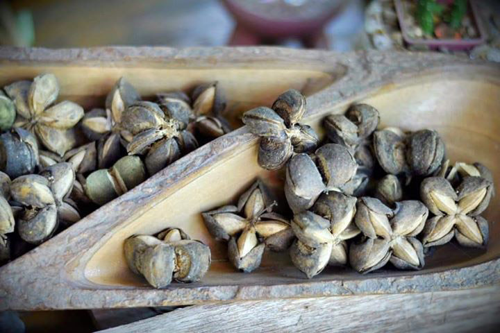 ศูนย์เรียนรู้เฌอซี๊ญ่า ตลาดไกวเปล