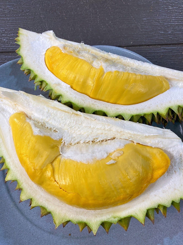 สวนผลไม้จันทบุรี 2569 ชบา รีสอร์ท จันทบุรี