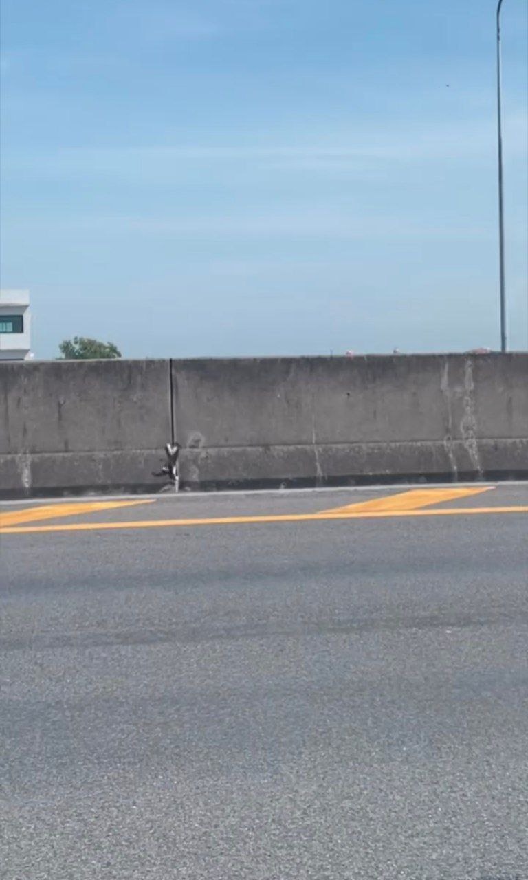 ก๊อต จิรายุ แมว