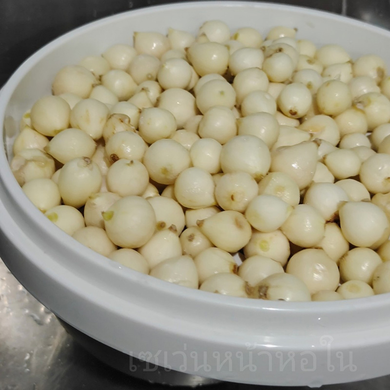 กระเทียมโทนดองน้ำผึ้ง สูตรกระเทียมโทนดอง สูตรอาหาร