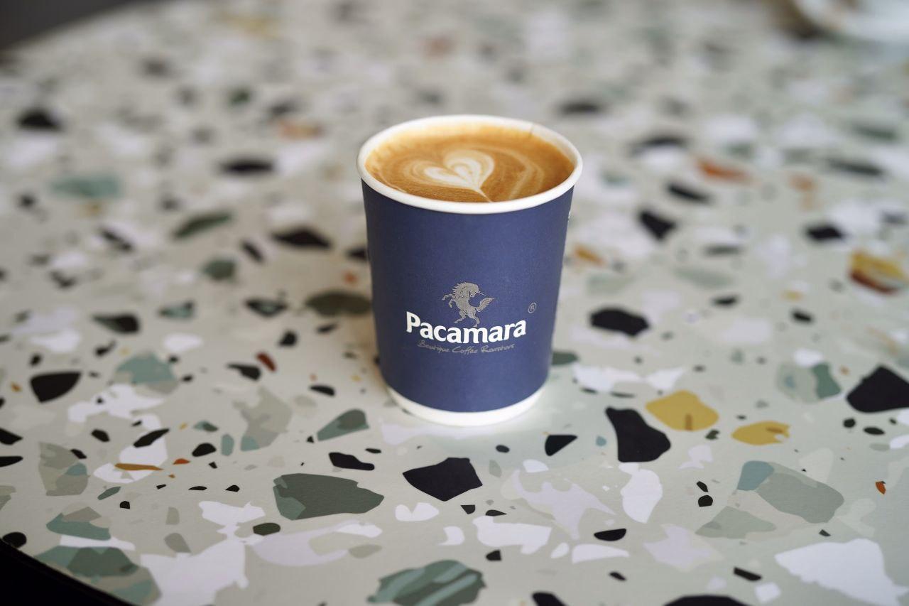 PACAMARA