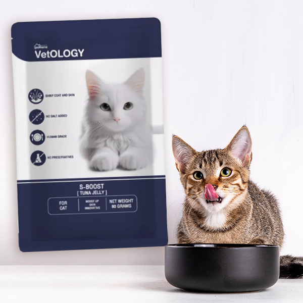 อาหารแมว VetOLOGY