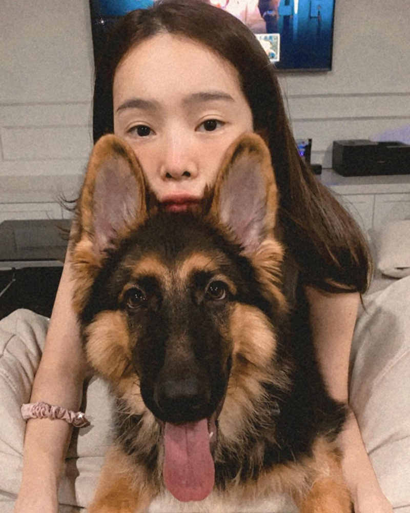 ปุ้มปุ้ย