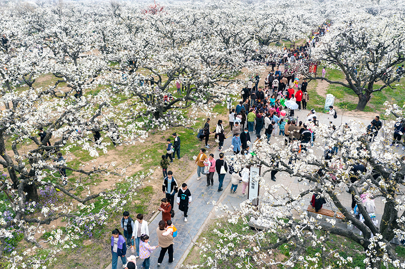 เที่ยวจีน