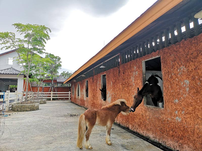 เที่ยวแม่กลอง