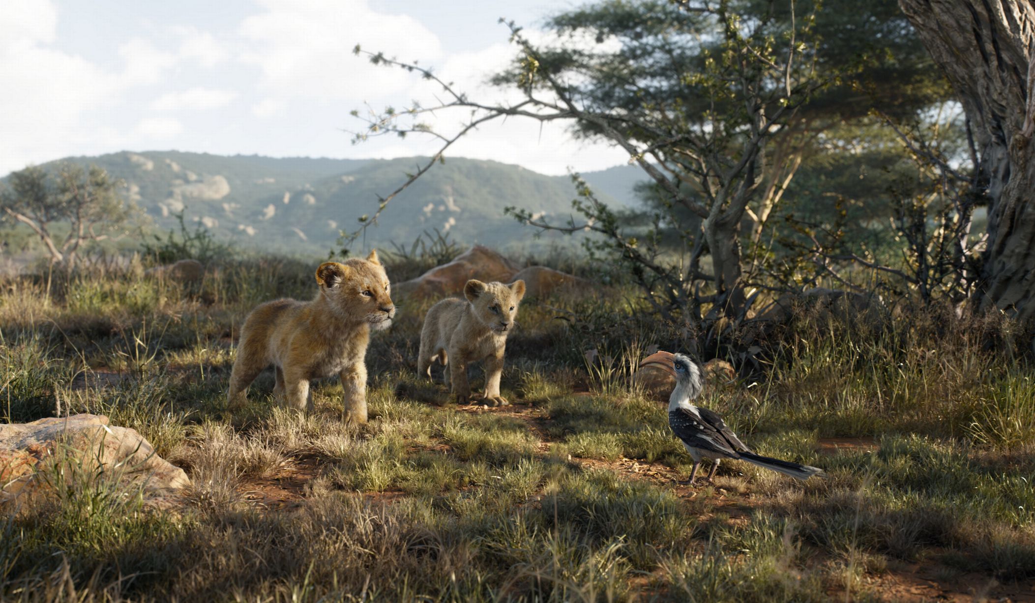 the lion king 2019