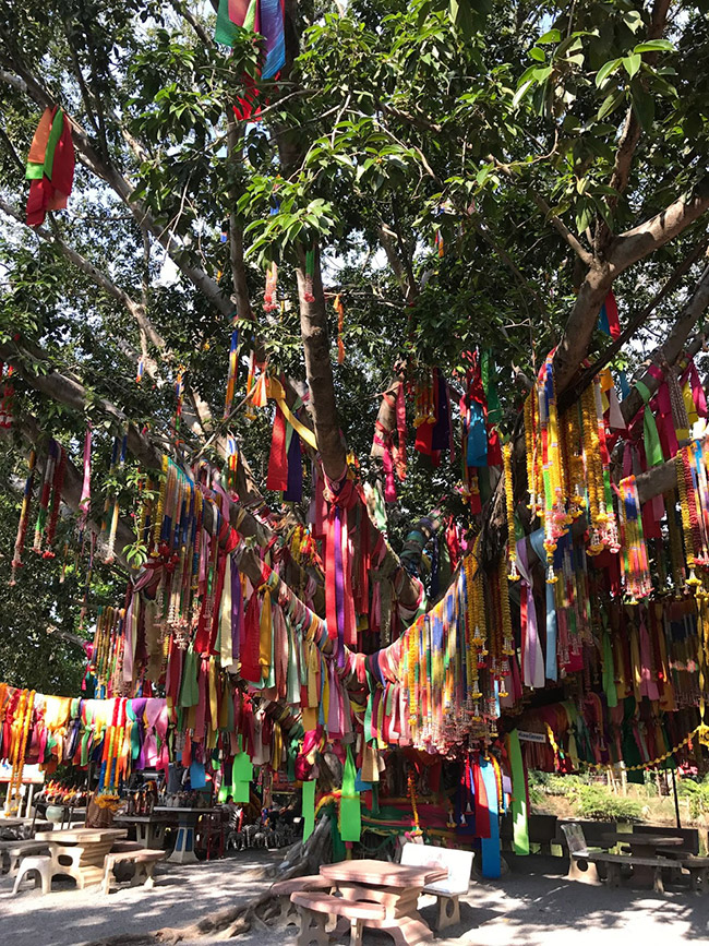 วัดดังขอพร