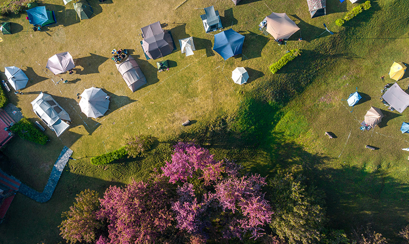 ดอยผ้าห่มปก จุดชมดอกนางพญาเสือโคร่ง 2568/2569