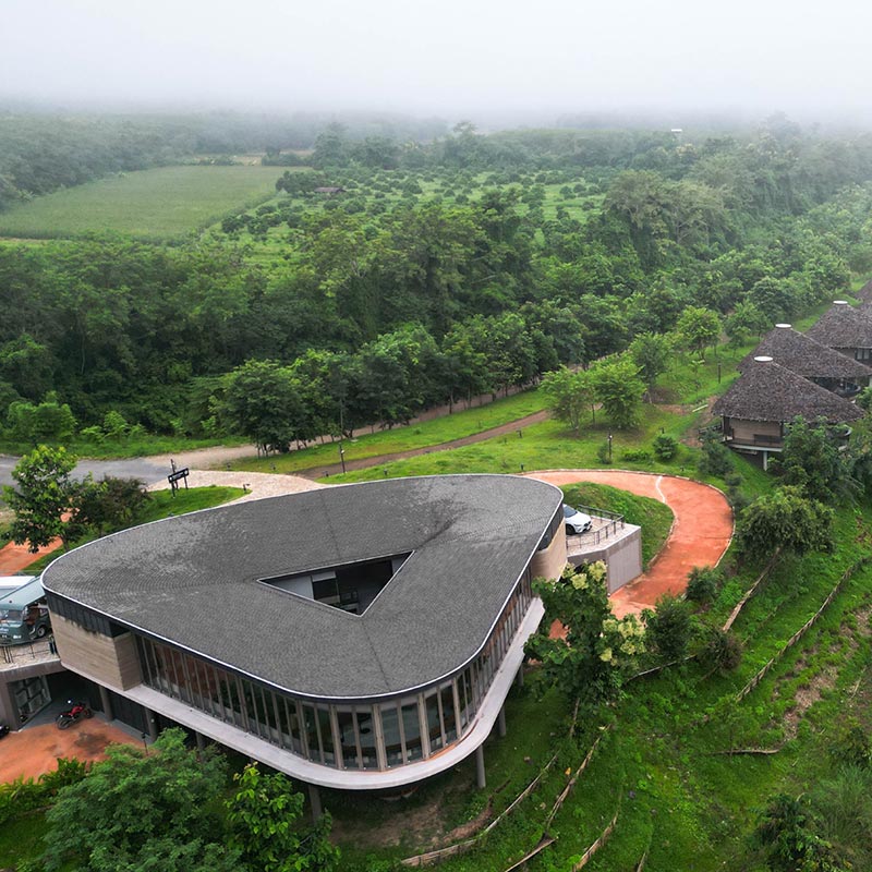 ป่าทำมา  