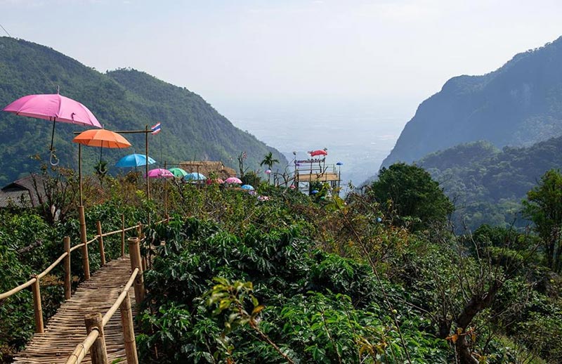 สะพานไม้ไผ่ไร่ผาฮี้ จังหวัดเชียงราย เดินทอดน่องชมวิวธรรมชาติสวย 360 องศา 1 สะพานไม้ไผ่ไร่ผาฮี้ จังหวัดเชียงราย เดินทอดน่องชมวิวธรรมชาติสวย 360 องศา 1