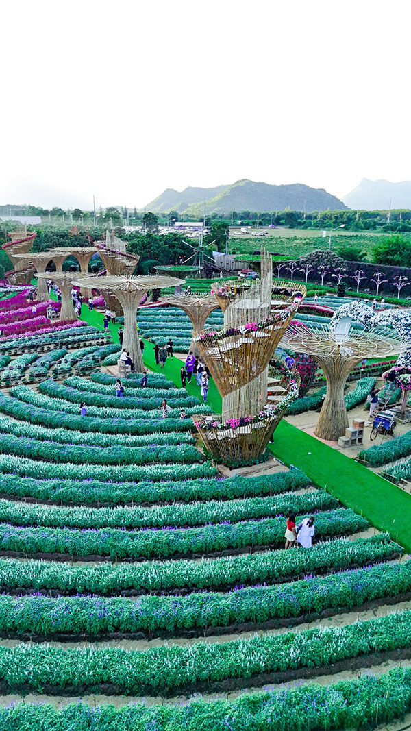 สวนเมเปิ้ล กาญจนบุรี 2568