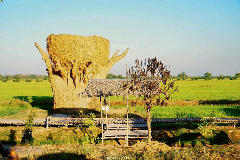 เที่ยวรังนกแลนด์ by นกแปดริ้ว จ.ฉะเชิงเทรา