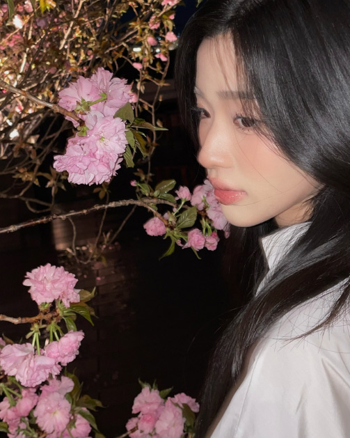 ตู ต้นตะวัน