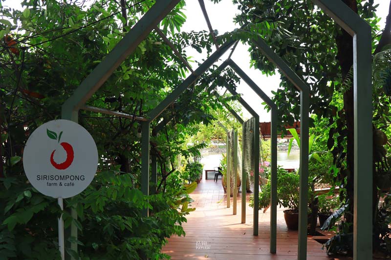 สิริสมปอง ฟาร์ม & คาเฟ่