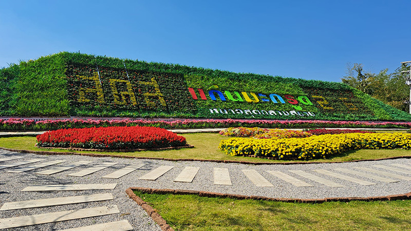 ลานกางเต็นท์อุทัยธานี