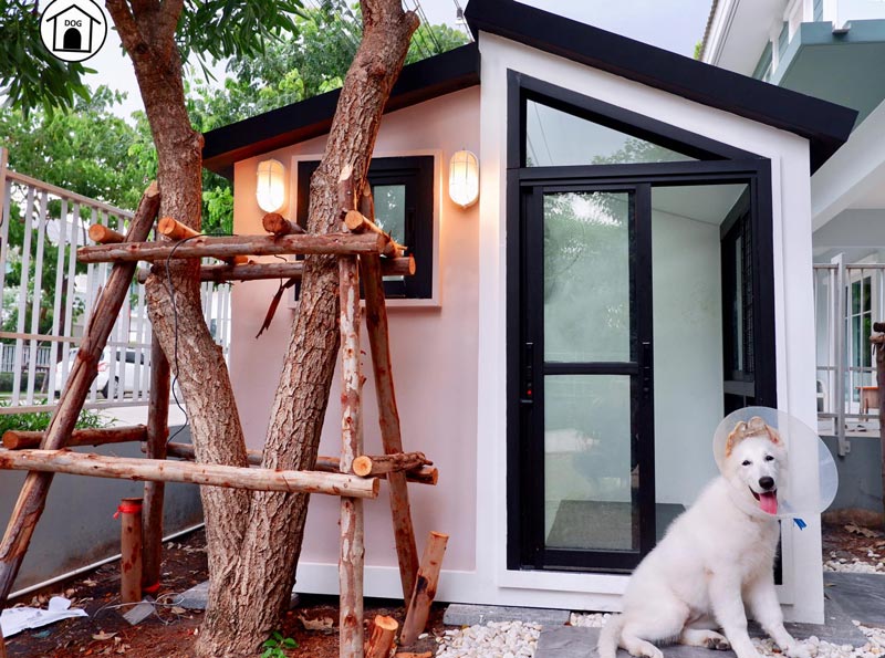 แบบบ้านหมา