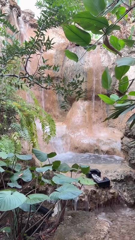 เคน ภูภูมิ ใจสู้ รีโนเวตคาเฟ่ที่หาดใหญ่