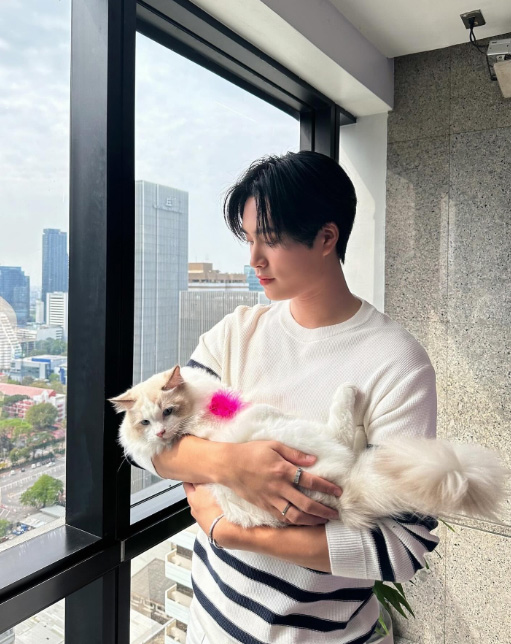 เจมีไนน์ นรวิชญ์ ประวัติ