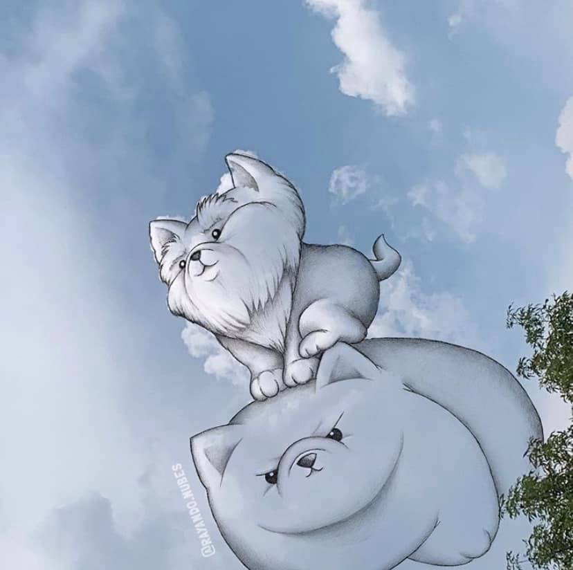 ศิลปะจากก้อนเมฆ