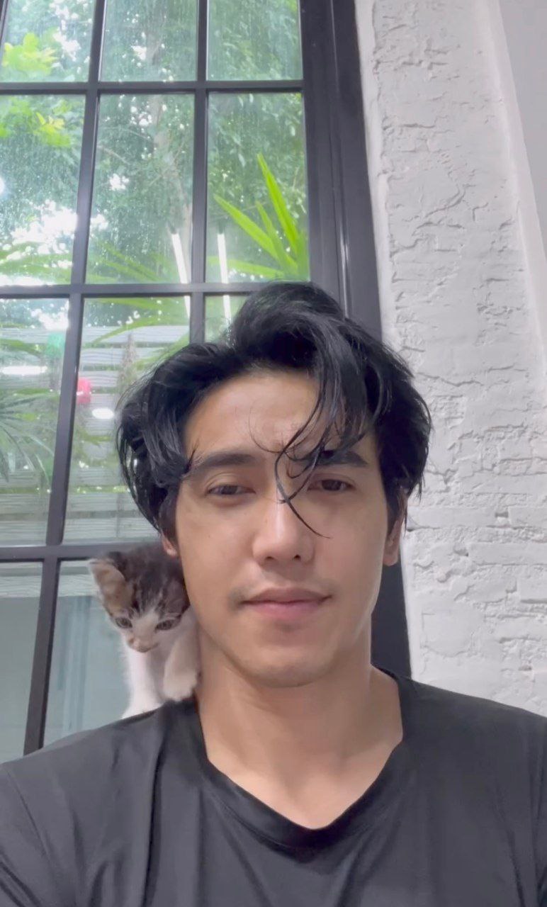 ก๊อต จิรายุ แมว