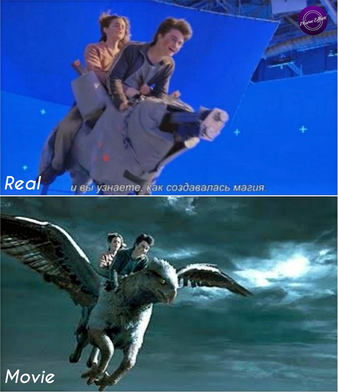 หนังดังฮอลลีวูด